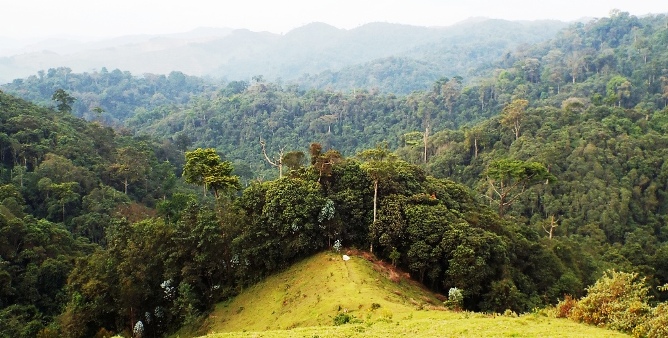 GISHWATI - MUKURA NATIONAL PARK