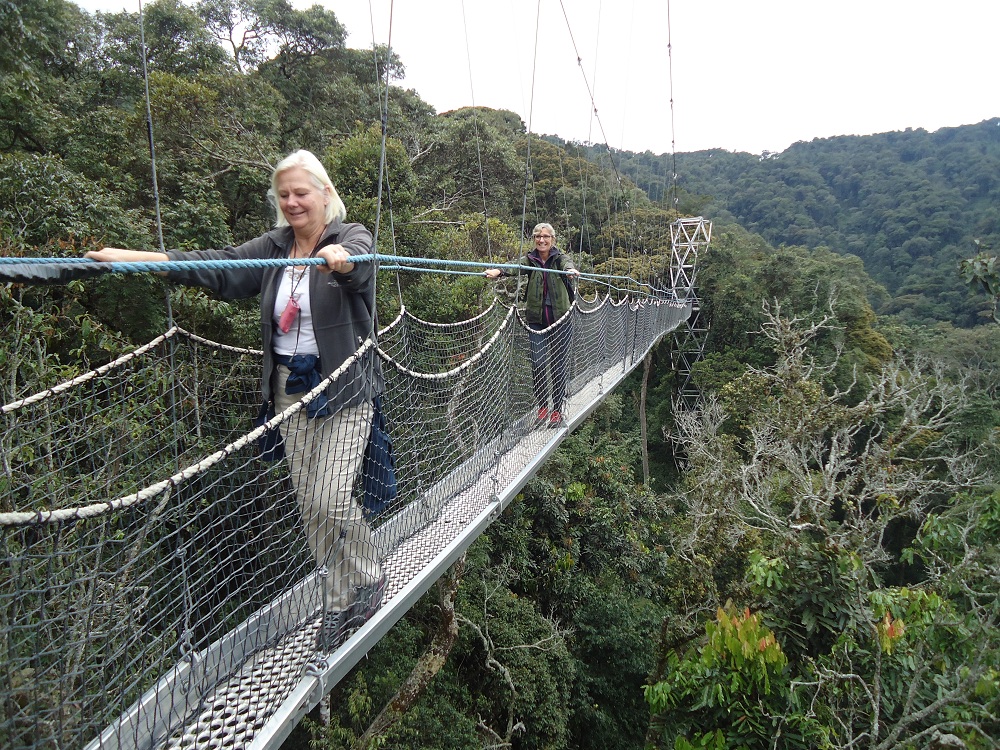 NYUNGWE NATIONAL PARK