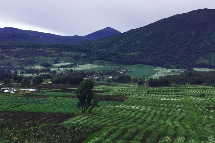 AGRO-TOURS